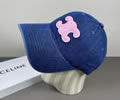 CELINE Cap With box best quality 1:1