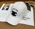 CELINE Cap With box best quality 1:1