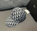 DIOR Cap With box best quality 1:1
