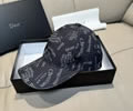 DIOR Cap With box best quality 1:1