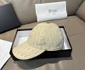 DIOR Cap With box best quality 1:1