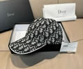 DIOR Cap With box best quality 1:1