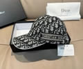DIOR Cap With box best quality 1:1