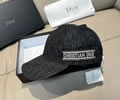 DIOR Cap With box best quality 1:1