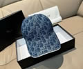 DIOR Cap With box best quality 1:1
