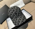 DIOR Cap With box best quality 1:1