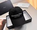 DIOR Cap With box best quality 1:1