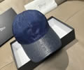 DIOR Cap With box best quality 1:1