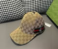 GUCCI Cap With box best quality 1:1