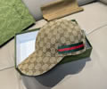 GUCCI Cap With box best quality 1:1