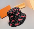 Louis Vuitton LV Cap with box best quality 1:1
