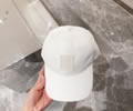 LOEWE Cap With box best quality 1:1
