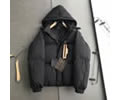 Louis Vuitton DOWN Lovers Jacket best qulaity