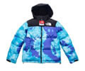THE NORTH FACE DOWN Lovers Jacket best quality