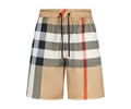 BURBERRY Mens pants best quality