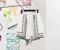 DIOR Lovers pants best quality