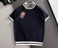Loro Piana Mens T-shit best quality