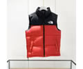 The North Face 1996 Retro Nuptse Vest Men vest down