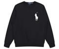Ralph Lauren Mens Hoodies best quality