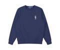 Ralph Lauren Mens Hoodies best quality