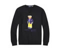 Ralph Lauren Mens Hoodies best quality