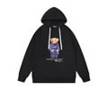 Ralph Lauren Mens Hoodies best quality