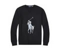 Ralph Lauren Mens Hoodies best quality
