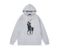 Ralph Lauren Mens Hoodies best quality