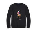 Ralph Lauren Mens Hoodies best quality