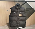 THE NORTH FACE x GUCCI Lovers vest Down