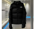 THE NORTH FACE 1996 Nuptse 80%Down Lovers Jacket