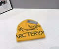 ARCTERYX Knit cap