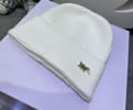 DIOR Knit cap
