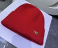 DIOR Knit cap