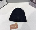 Loro Piana Knit cap