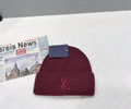 Louis Vuitton Knit cap LV