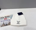 Louis Vuitton Knit cap LV