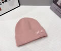 Louis Vuitton Knit cap LV