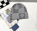 Louis Vuitton Knit cap LV