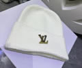 Louis Vuitton Knit cap LV