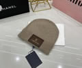 Louis Vuitton Knit cap LV