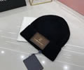 Louis Vuitton Knit cap LV