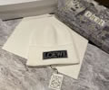 LOEWE Knit cap