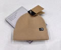 The north face Knit cap