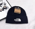 The north face Knit cap