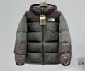 The North Face TNF Mens DOWN Jacket