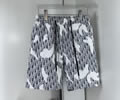 DIOR Mens Beach pants