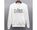 Dior Mens Hoodies