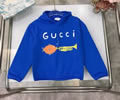 GUCCI Kids Hoodies Best quality