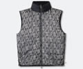 FENDI Lovers vest Down best qulairy